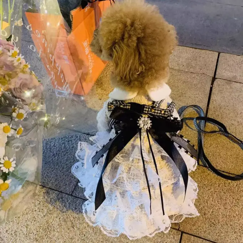 Pet Dog Dress Sweet Dog Princess Skirt Small Dog Cat Fashion Lace Shirt Skirt Spring Autumn Designer Clothes Poodle YorkiClothes