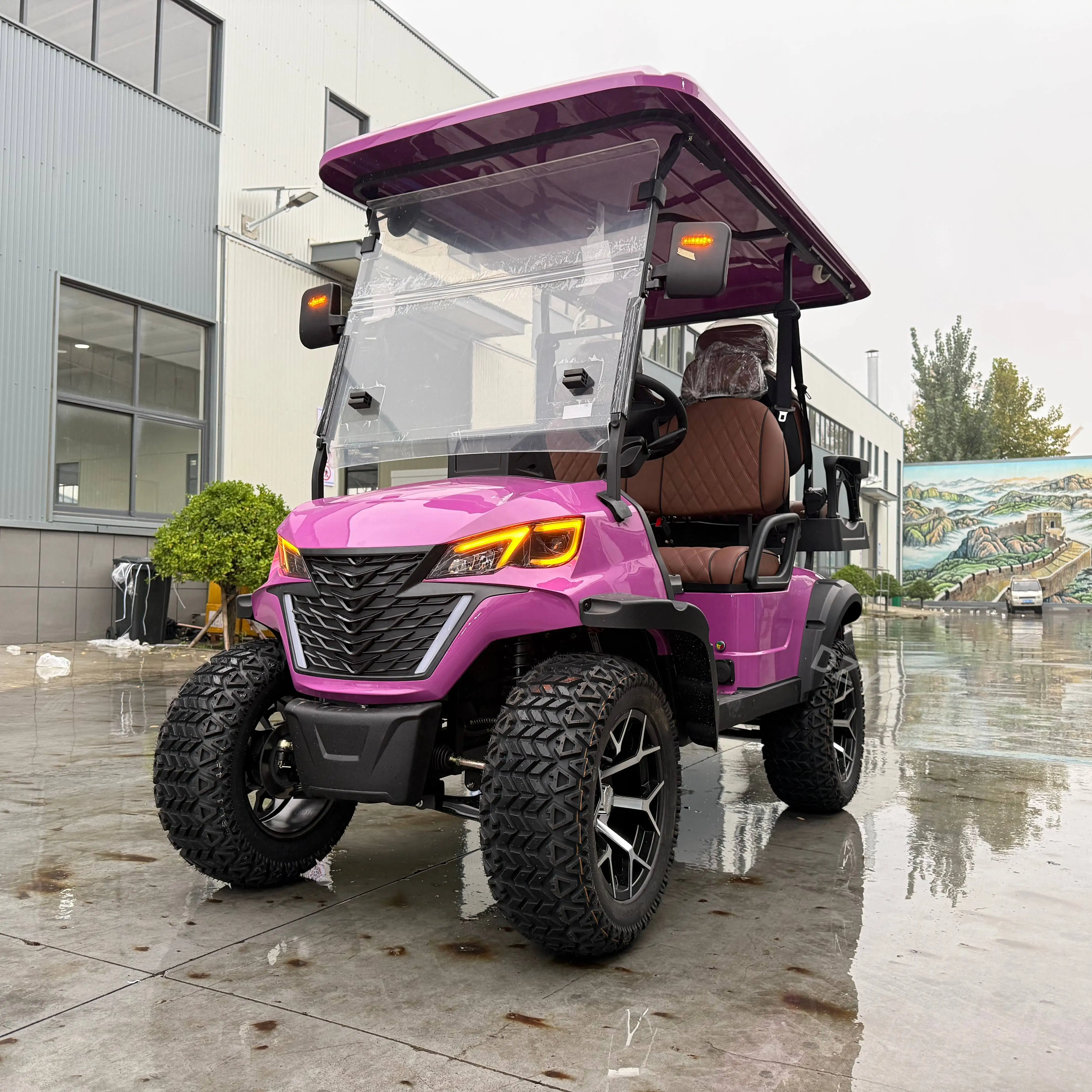 Chinese Electric Go…