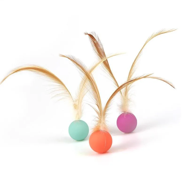 

Cat Toy Pet Scratching Ball Training Interactive Toy for Kitten Pet Supplies Funny Play Feather Toy cat