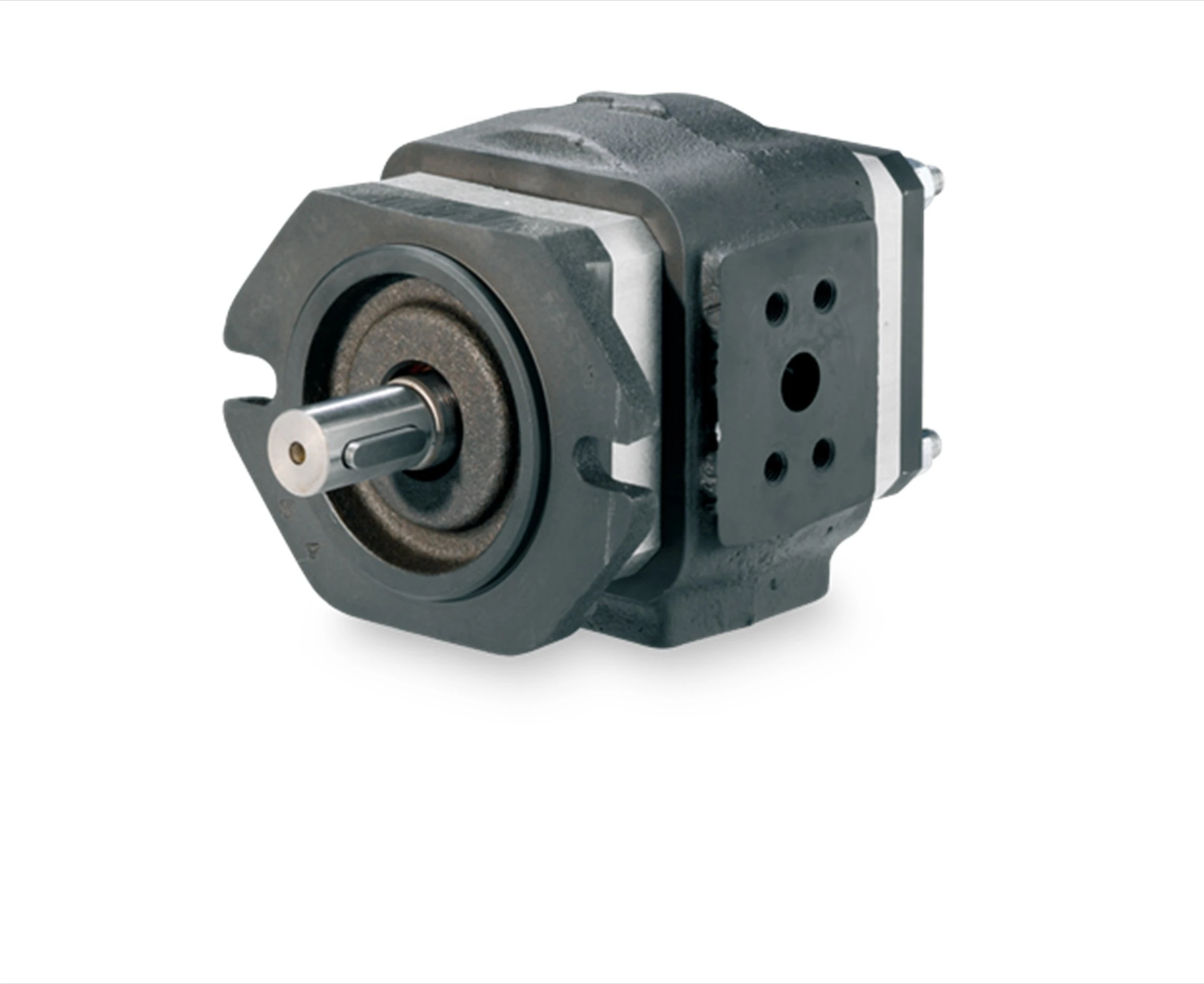 

Eckerle Internal Gear Pump EIPH3-040RK23-10 hydraulic pump