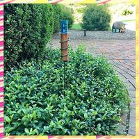 Rain Gauge Lawn Gardens Landscapes Garden Outdoor Rain Gauge Decorative Rain Gauge, More Accurate A
