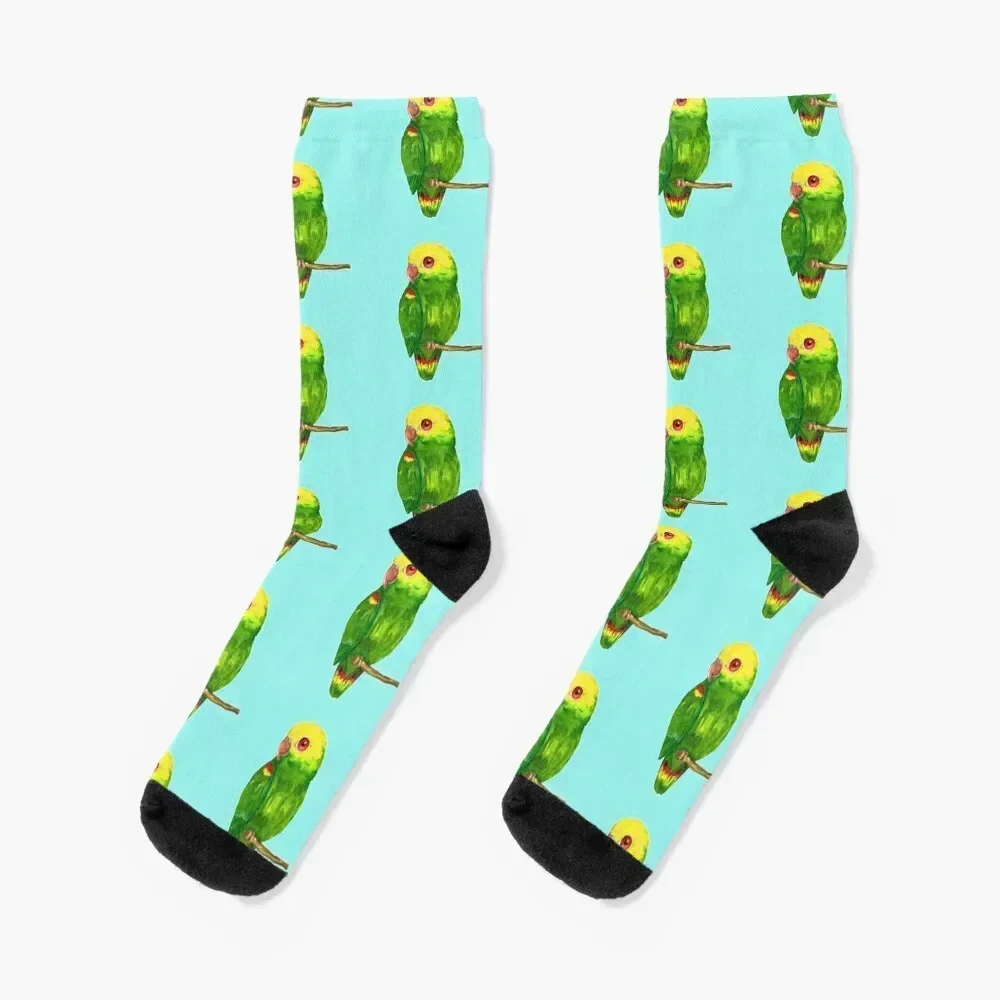 Yellow headed amazon parrot Socks Stockings man cartoon Mens Socks Women's