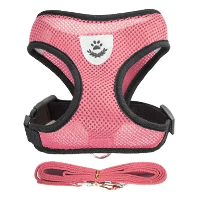 Thumbnail 4 - #59 Best Dog Leads to Buy In 2026