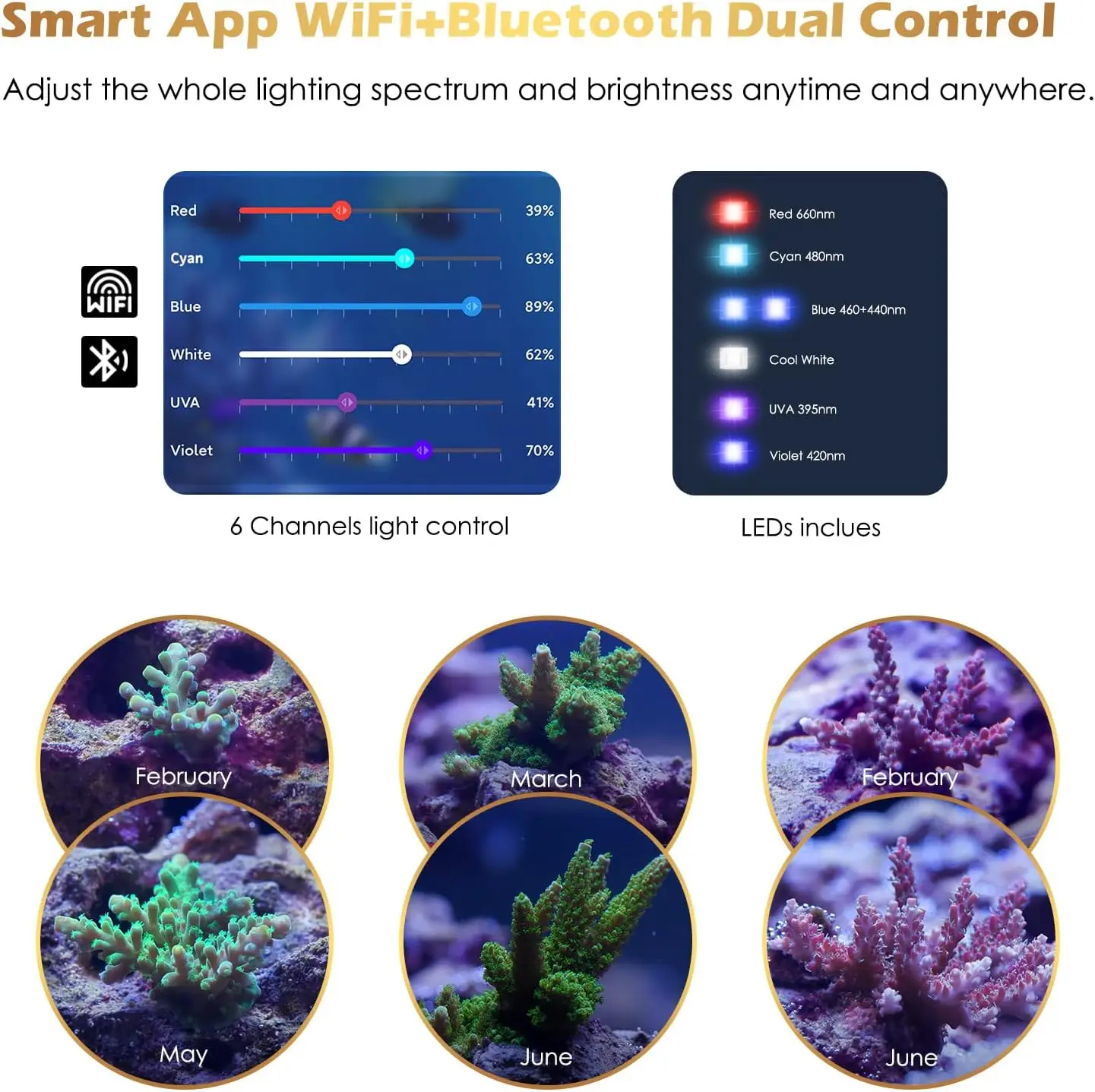 

Saltwater Aquarium Light, Smart Reef Coral Fish Tank Light with Bluetooth + WiFi Dual Control App, DIY Spectrum