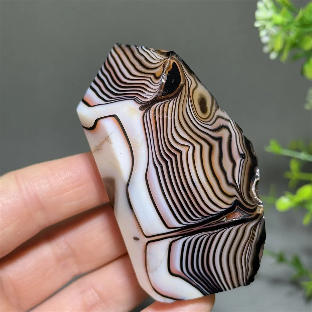 Natural Black Striped Agate Irregular Mineral Polyhedron Reiki Healing Witchcraft Chakra Energy Home Room Decoration Gift