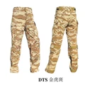 DTS