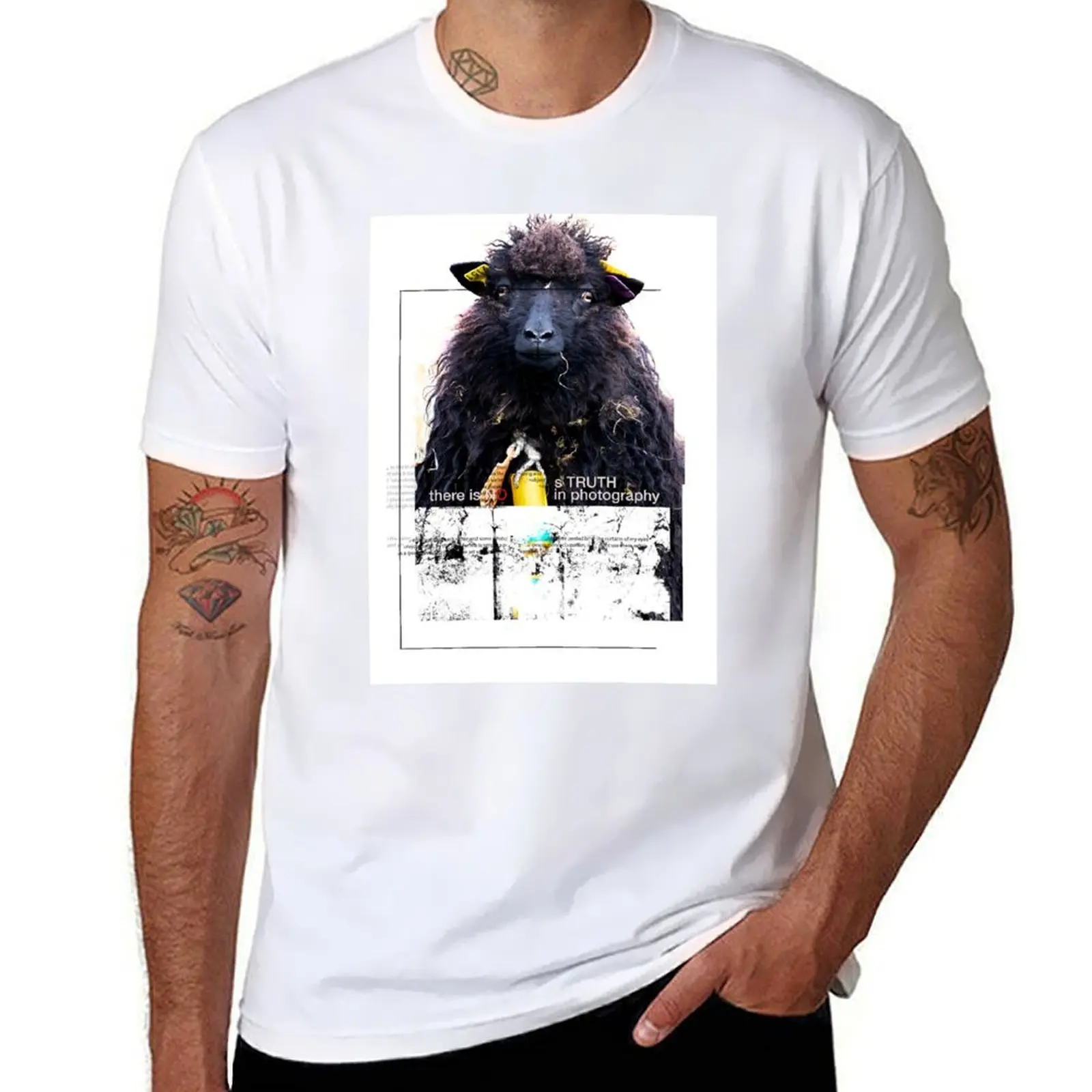 Faroe sheep T-Shirt printed t shirts for man t shirt man luxury T-Shirt