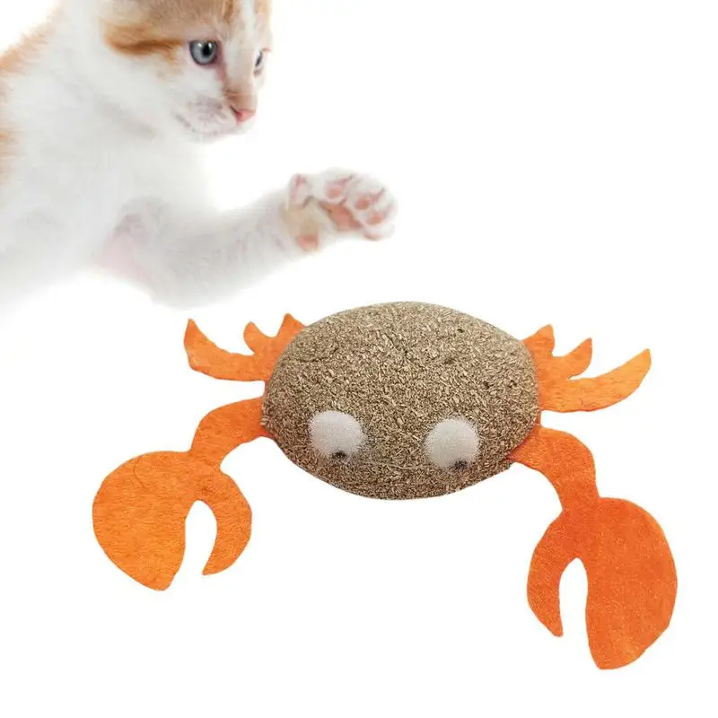 Catnip para brinquedos do gato brinquedos do gato com catnip brinquedos do gato gatinho brinquedos sortments desenhos animados estilo segurança comestível saudável catnip brinquedo do animal de estimação