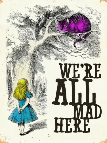 We're All Mad Here, Retro replica vintage style metal tin sign gift Pub