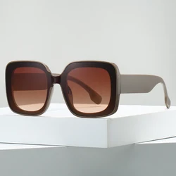 Fashion Cat Eye Sunglasses Women 2024 Luxury Brand Designer Vintage Square Sun Glasses for Female Retro Irregular Shades Eyewear