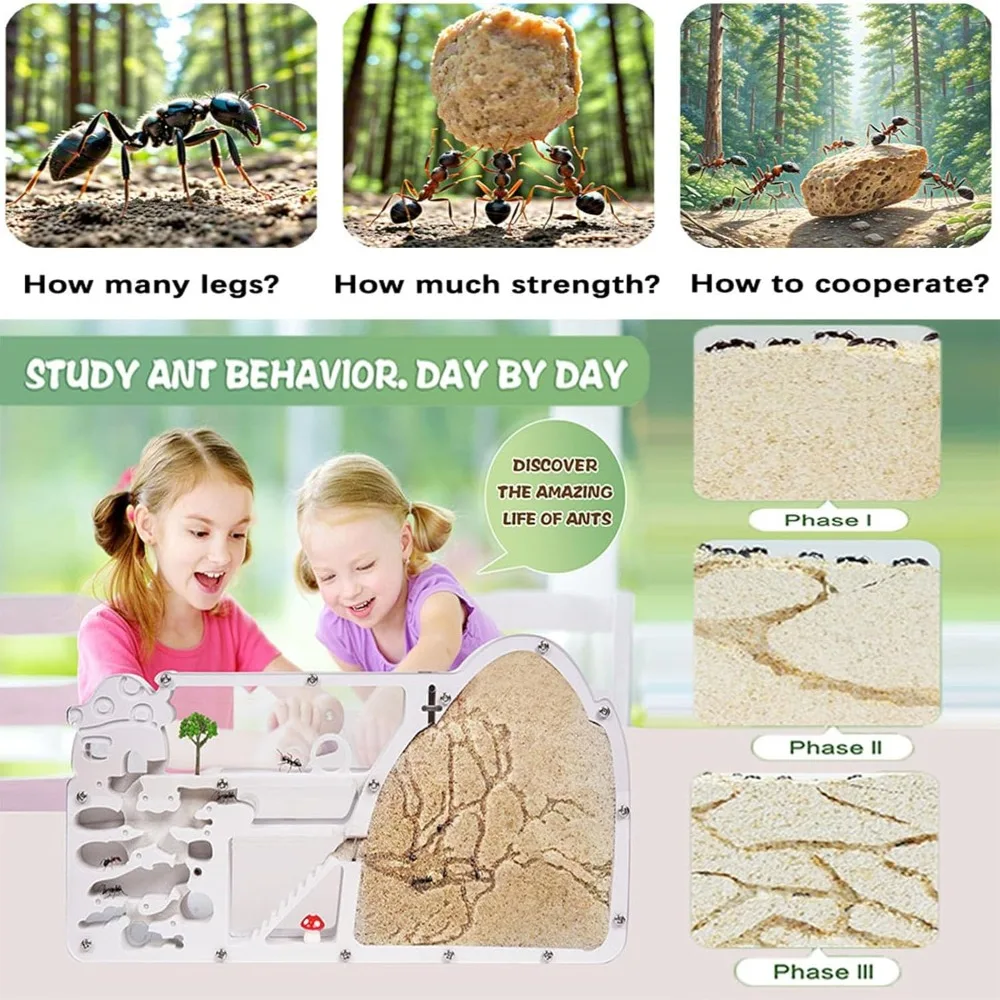 Large Viewing Area Ant Farm Castle Educational Science Gifts Ant Farms Ant Colony Observation Kits Plastics Care for Live Ants