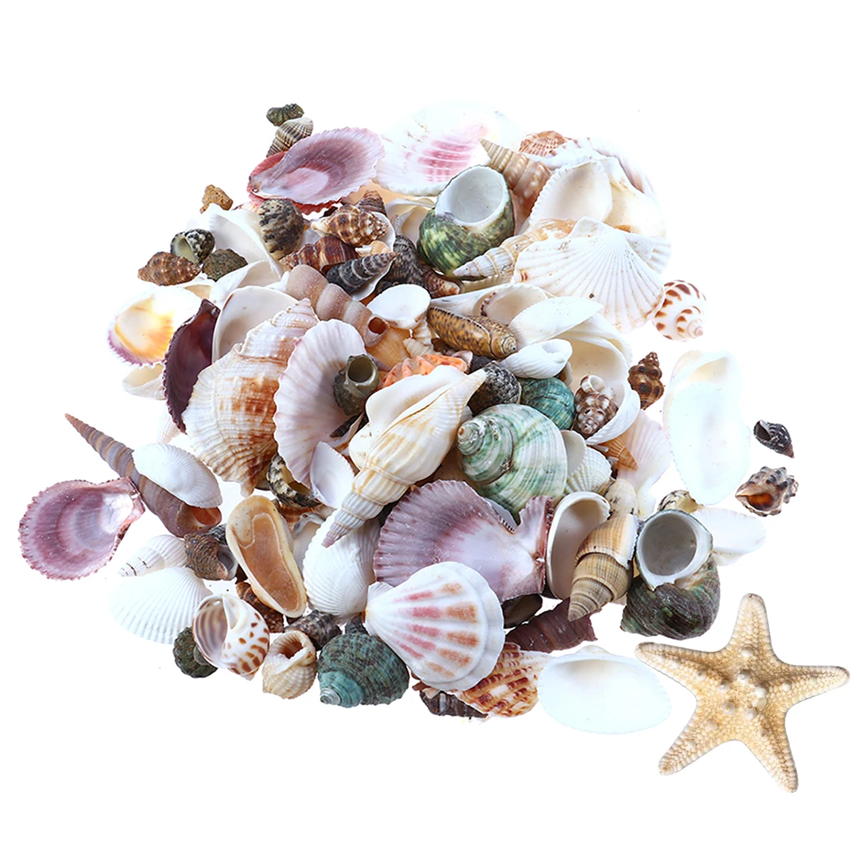 

Natural Conch Ornaments Aquarium Decor Shell Landscaping Props Mixed Pattern Home Decoration Gift Fishing Lovers Sea Star