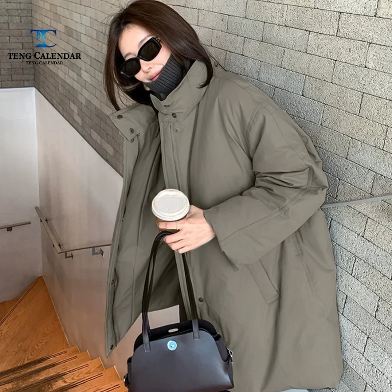 Workwear Stand Up Collar Down Jacket, Korean Style Small and Loose Warm Faction Overcomes, Women's 2026 Winter New Style
