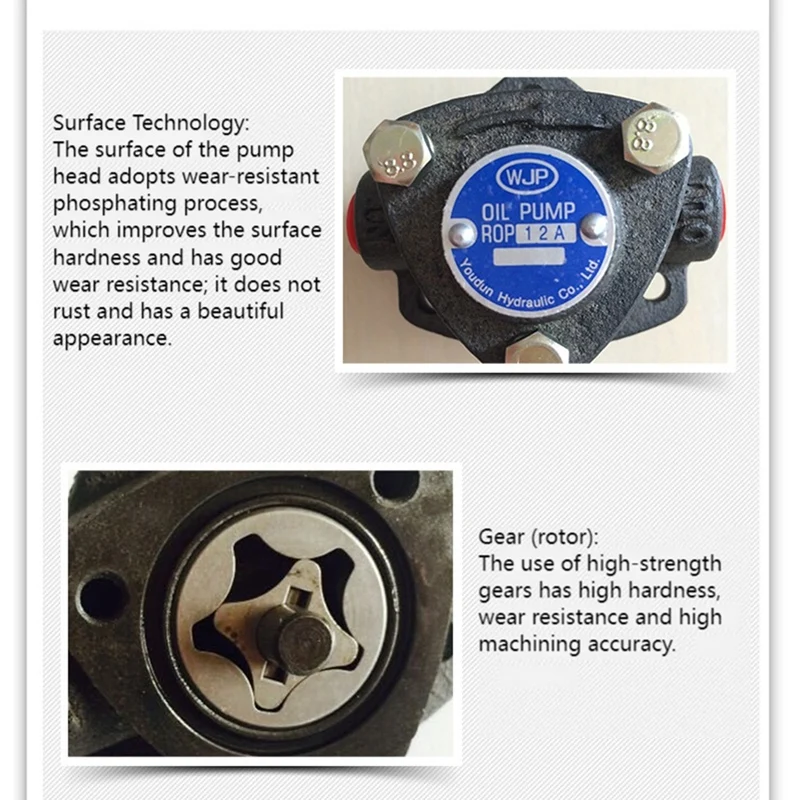 WJP Cycloid Oil Pump Triangle Pump Pinion Pump Lubrication Pump