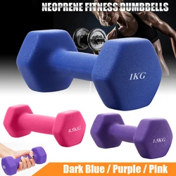 1 Piece 0.5/1/1.5KG Hexagonal Cast Iron Dumbbell Non Slip Ladies Weightlifting Dumbbell Portable Fitness Bodybuildin Equipment