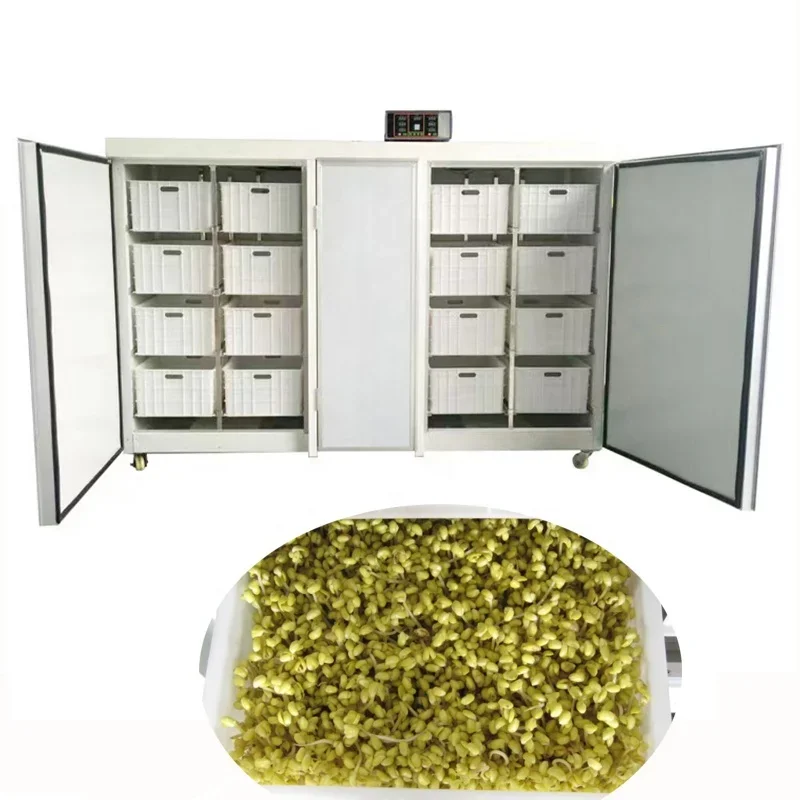 China Supplier Automatic Mung Bean Sprouting Machine Price Bean Sprout Growing Machine