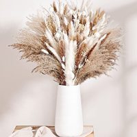 Natural Bunny Rabbit Tail Grass  Dried Pampas Grass Bouquet Boho Home Decor  Home Wedding Party Decoration Artifical Flower