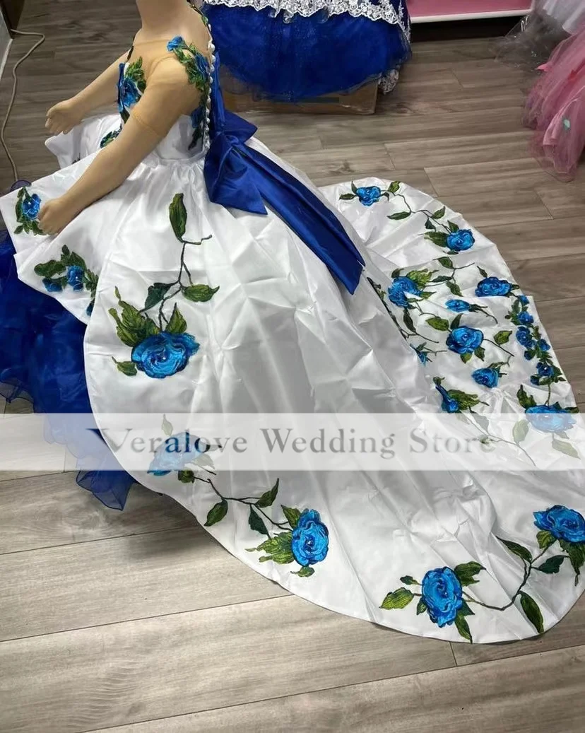 Blue Baby Ball Gown Embroidery Children Princess Dress Removable Train Mini Pageant Birthday Party Dress Girl Flower Gowns