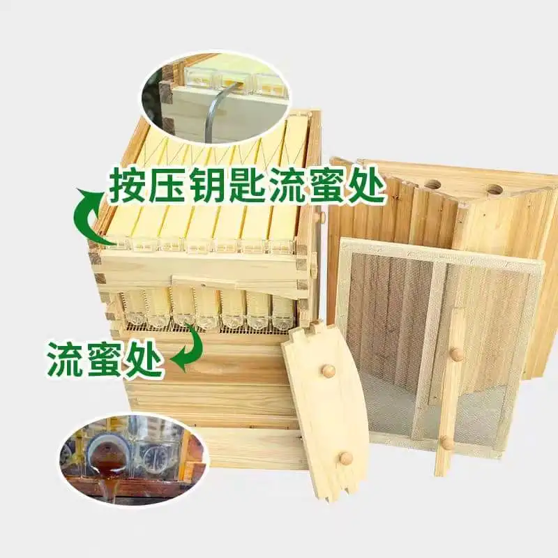 Golden Palace-Ruche à Flux existent, Cadre à 2 Ruches, Super Boîte, 7 Pièces