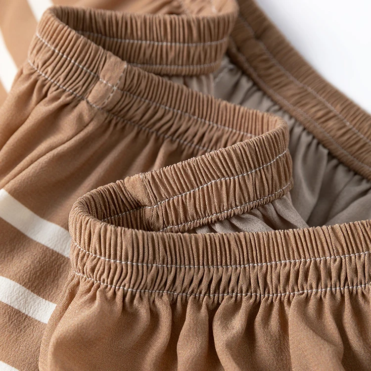 2025 Women's Summer New Cool 100% Natural Mulberry Silk Crepe De Chine Elastic Waist Loose Leisure Vacation Style Shorts