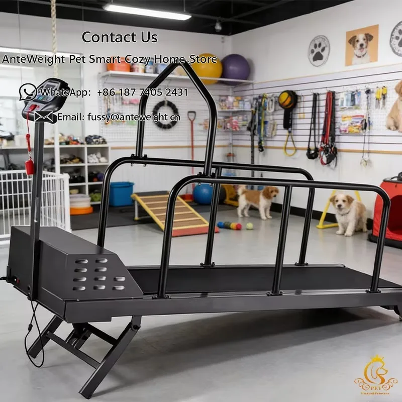 

Affordable Durable Pet Dog Treadmill 1.75HP for Pet Grooming Shop & Clinic Use