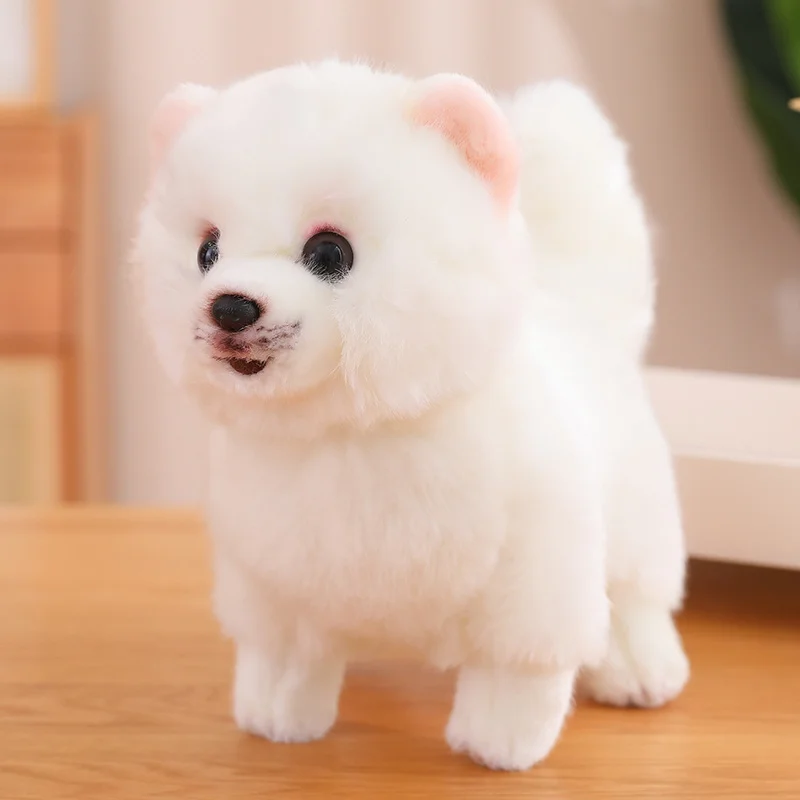 Nouveau chien poméranien en peluche mignon de qualité supérieure, animaux de toilette de la vie réelle, chiot doux, poupée pour enfants filles, joli cadeau