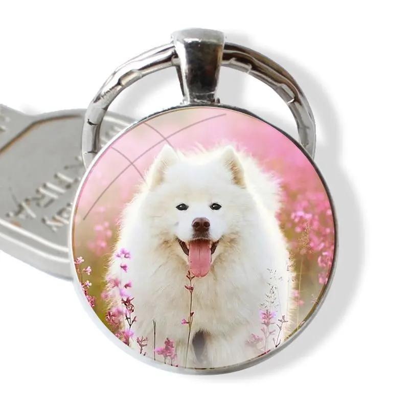 cute white Samoyed dog 25mm Glass Cabohcon Keychain Key Rings for Women Men Jewelry Gift