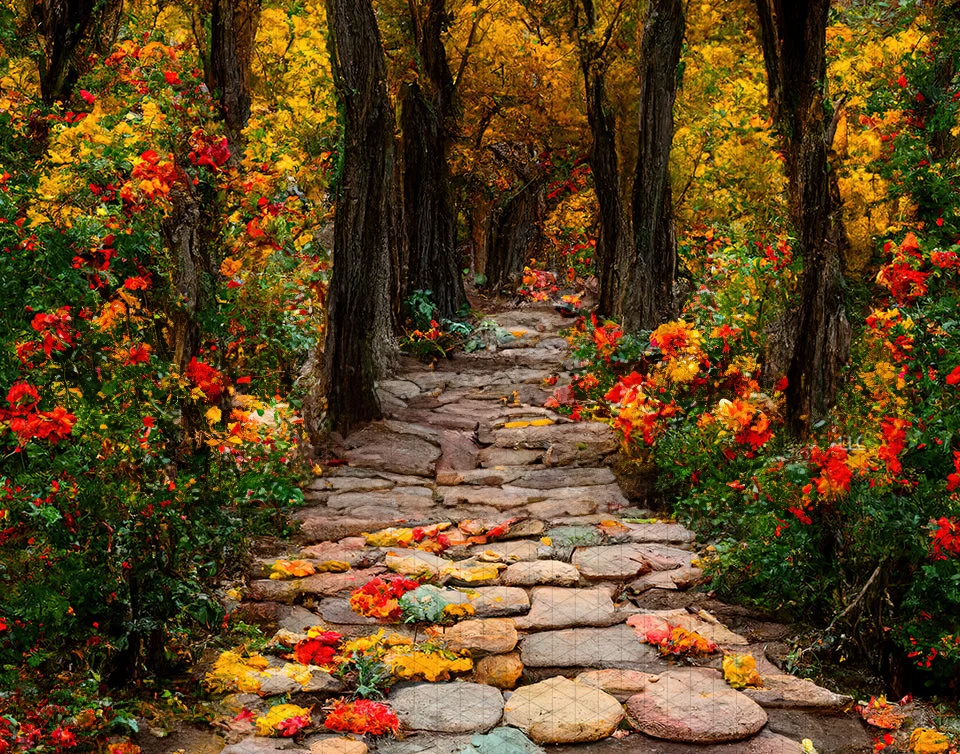 

Johnson park Fall Foliage Path Tree Autumn Road backdrops High quality computer print scenic Photography Studio Backgrounds