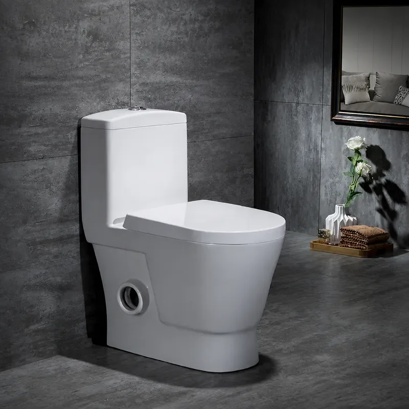 Binbo Sanitary Ware One Piece Toilet Wall Mounted Straight Flush Household Modern Simple Ceramic Toilet