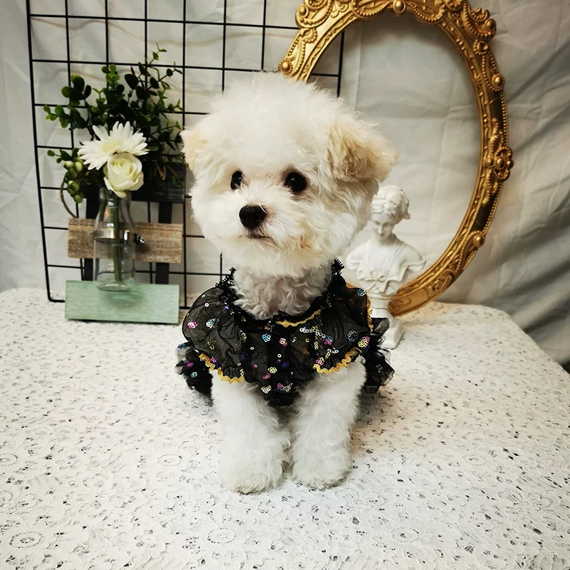 Sparkling Pet Wedding Dress Princess Gown for Cat Dog, Handmade Birthday Tutu Lace Dress, Custom Size Photo Shoot Outfit