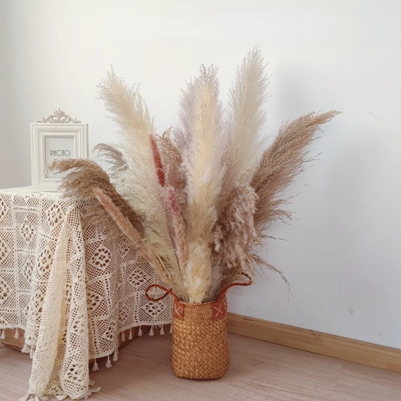 

Natural Dried Pampa Grass Bouquet Boho Nordic Home Decor Bouquet Phragmites Dried Flowers Bouquet For Wedding Decoration