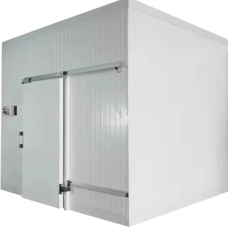 Commercial Deep Freezer air Blast Chiller Freezer Machine Blaster Freezer Room Cold Room