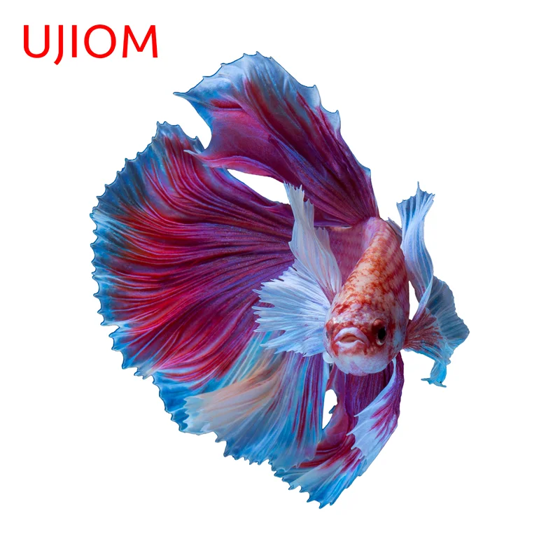 UJIOM Fashionable Creative Auto Fish Wall Sticker Exquisite Attractive Occlusion Scratch Decal Unique Bedroom Bathroom Decor