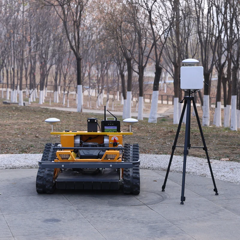 Customized Intellig…