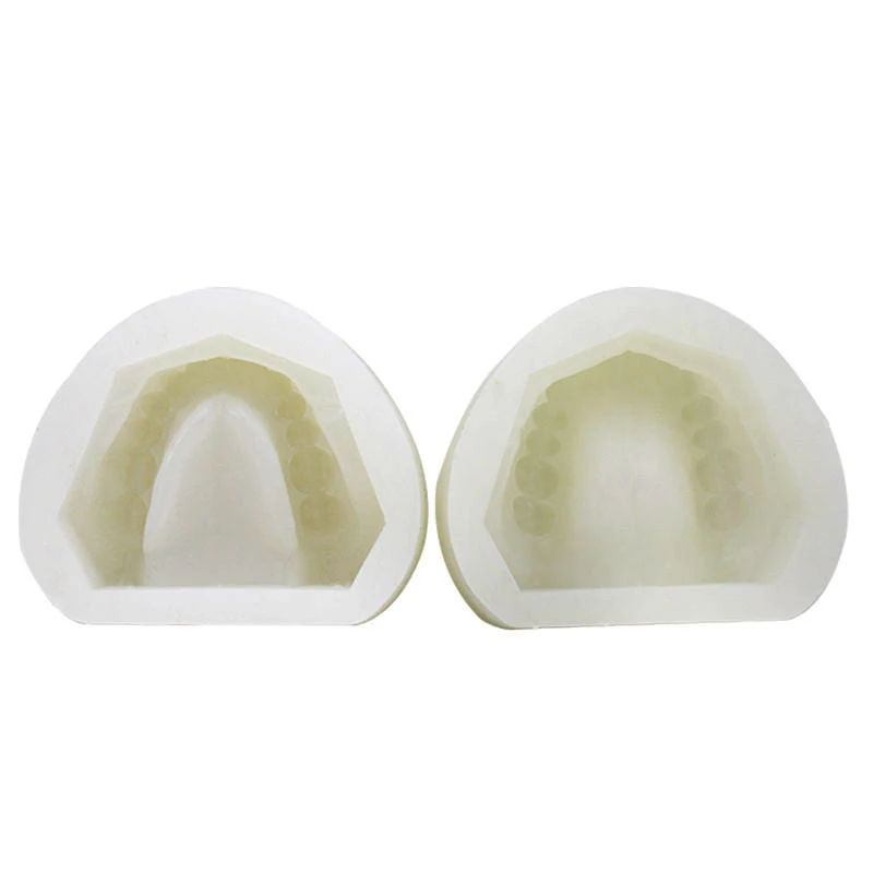 Dental Lab Split Silicone Negative Mold Full Standard Dentate Jaw Mould for Making Gypsum Teeth Study Models