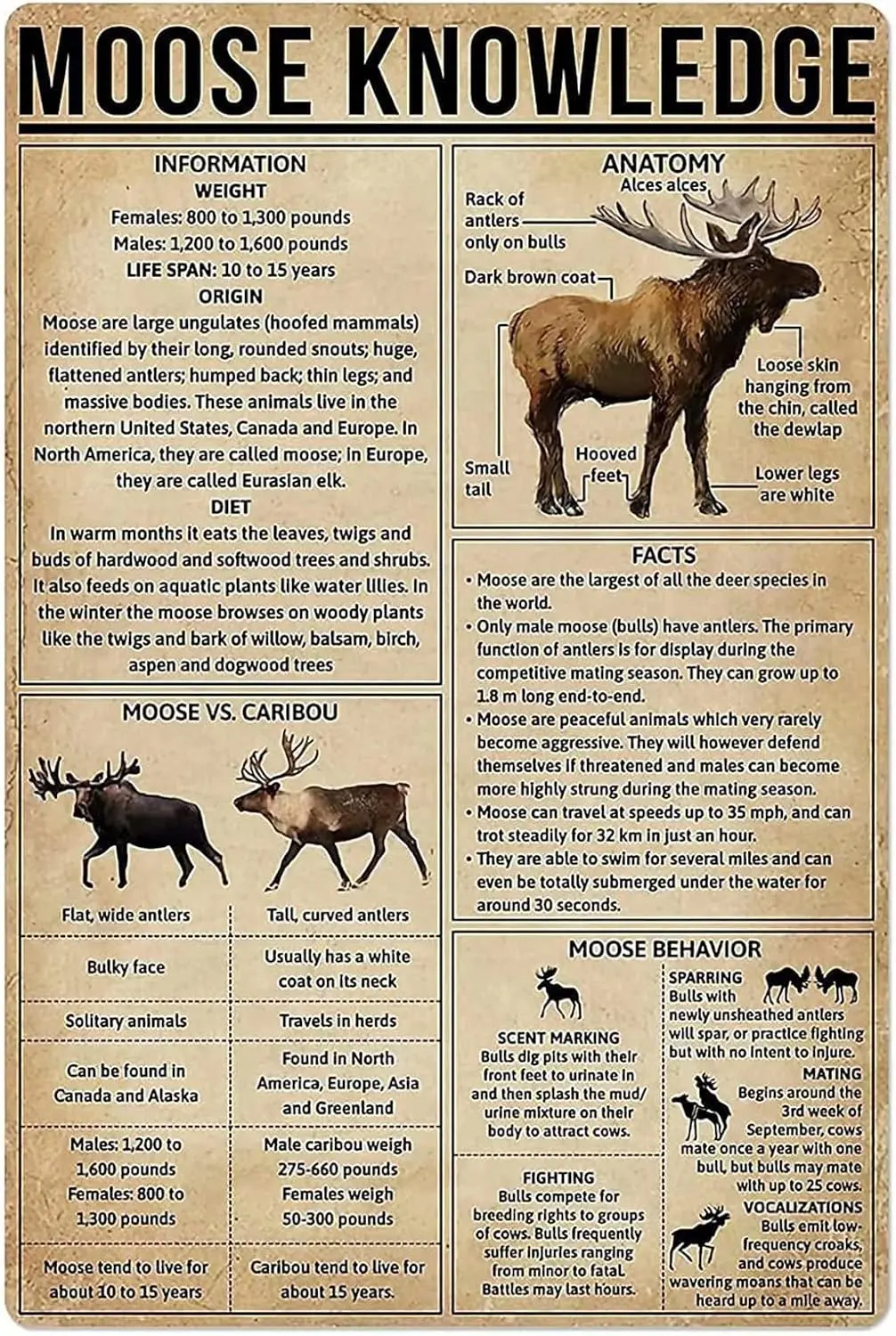 Moose Knowledge Panneau mural en métal, décoration artistique rétro pour la maison, la chambre, le bar, le café, la ferme, 8x12 pouces