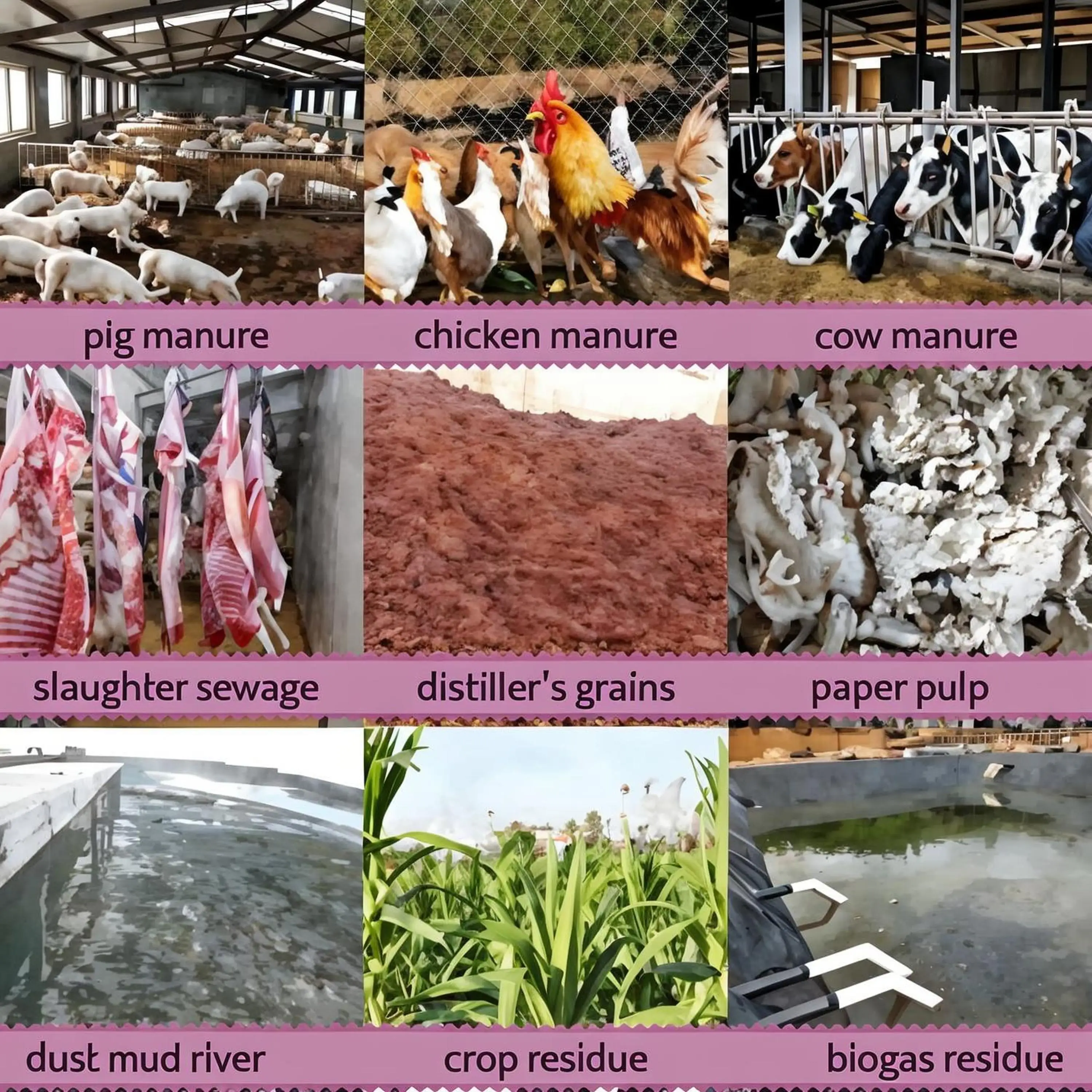 

Высокоэффективный сепаратор влажной и сухой свиньи, наклонный экран, двигатель насоса для обезводнения, новое состояние оборудования