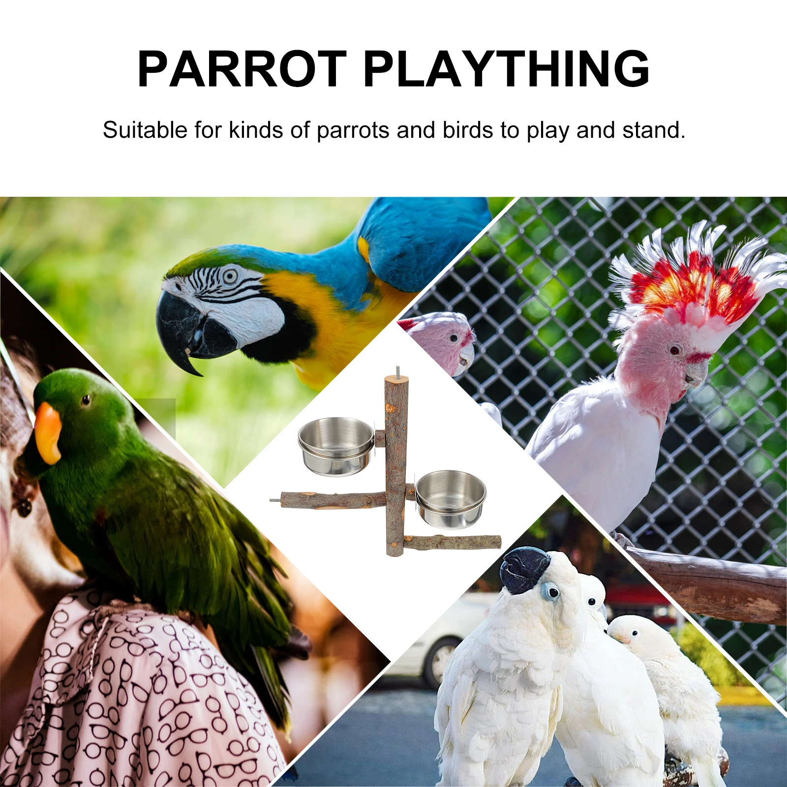 

Parrot Food Bowl Stand Combination Bird Birds Hanging Plaything Striped Bass