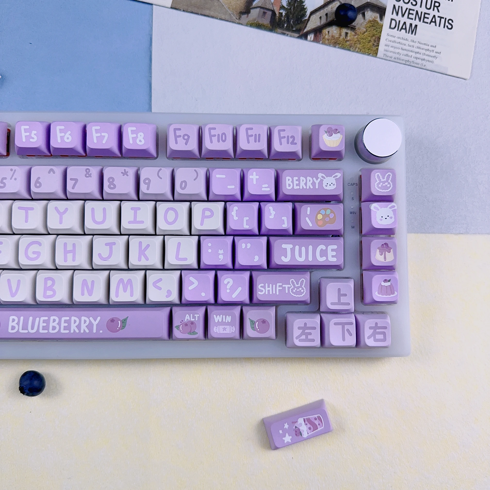 Super A Cheese Blueberry Theme Personalized Keycaps PBT Hot Sublimation Wolf Pi 68 84 87 104 980 Bald 75