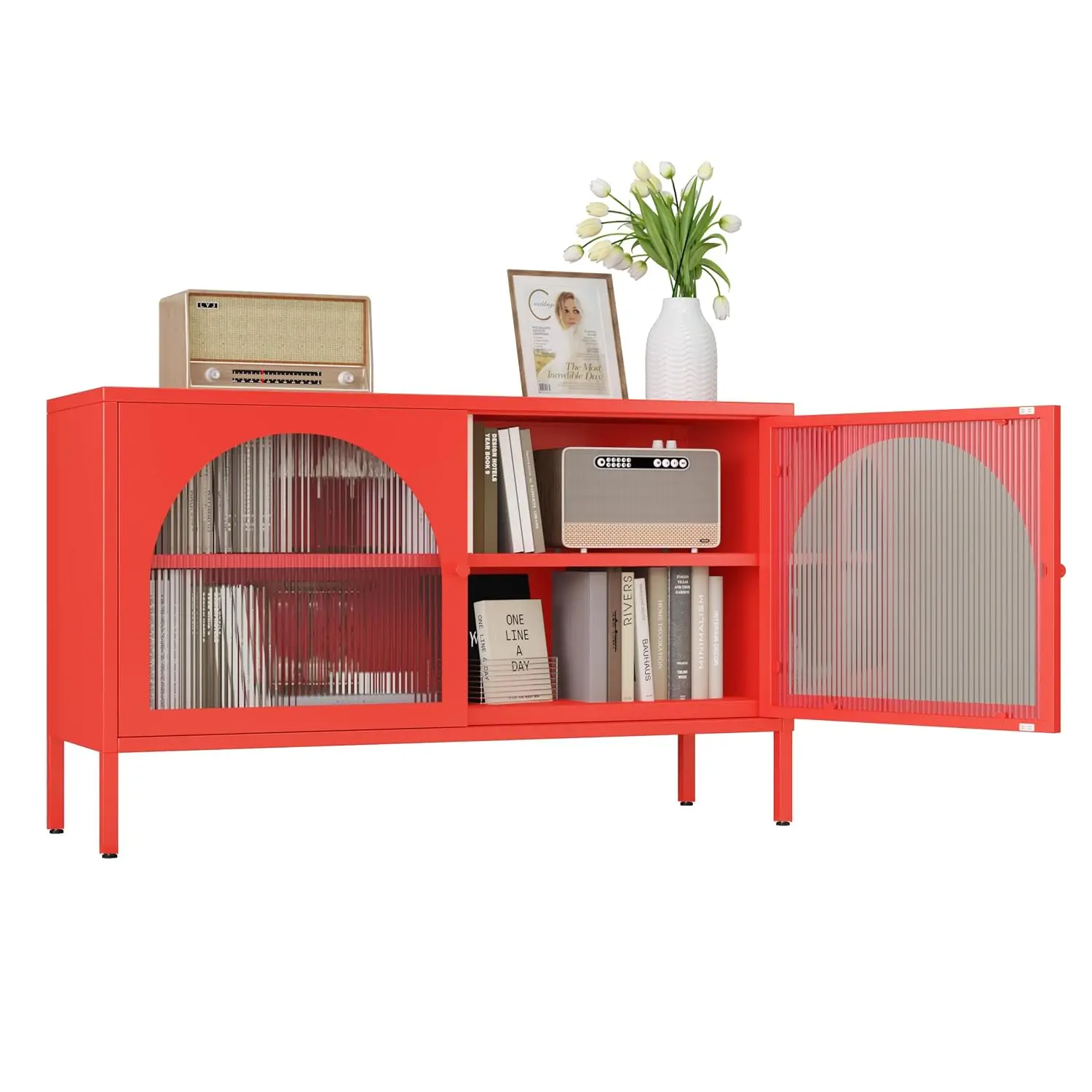 Translucent Door Metal Storage Cabinet with Adjustable Shelves, TV Stand for Home Office Entryway Living Room, Customized