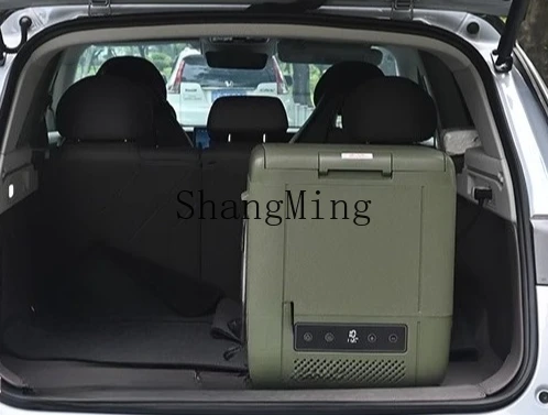 ZYY frigorifero per auto, casa, doppio scopo, conservazione degli alimenti all'aperto, piccolo congelatore ricaricabile