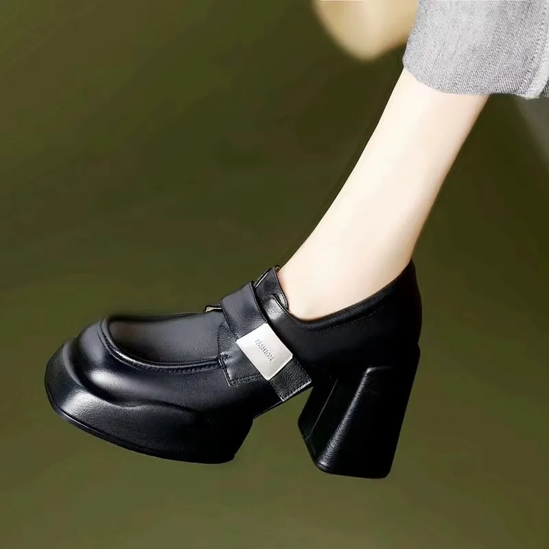 

Platform Mary Jane Shoes Women's Shoes 2024 Trends High Heeled Black Thick Heel Office Pumps Luxury Comfortable Single Shoes