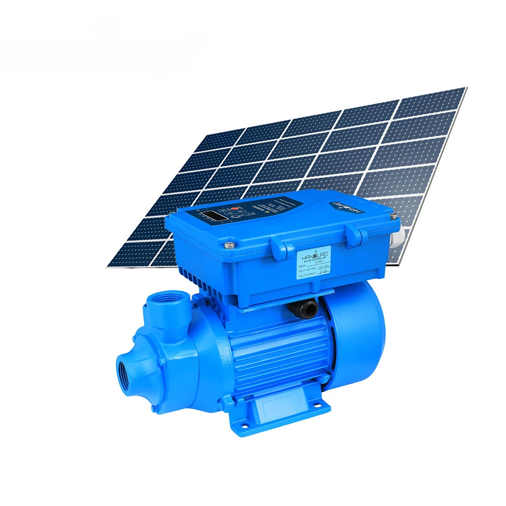 Bomba Solar De Superficie Wholesale 0.3 H p  Surface Water Pumps For Irrigation