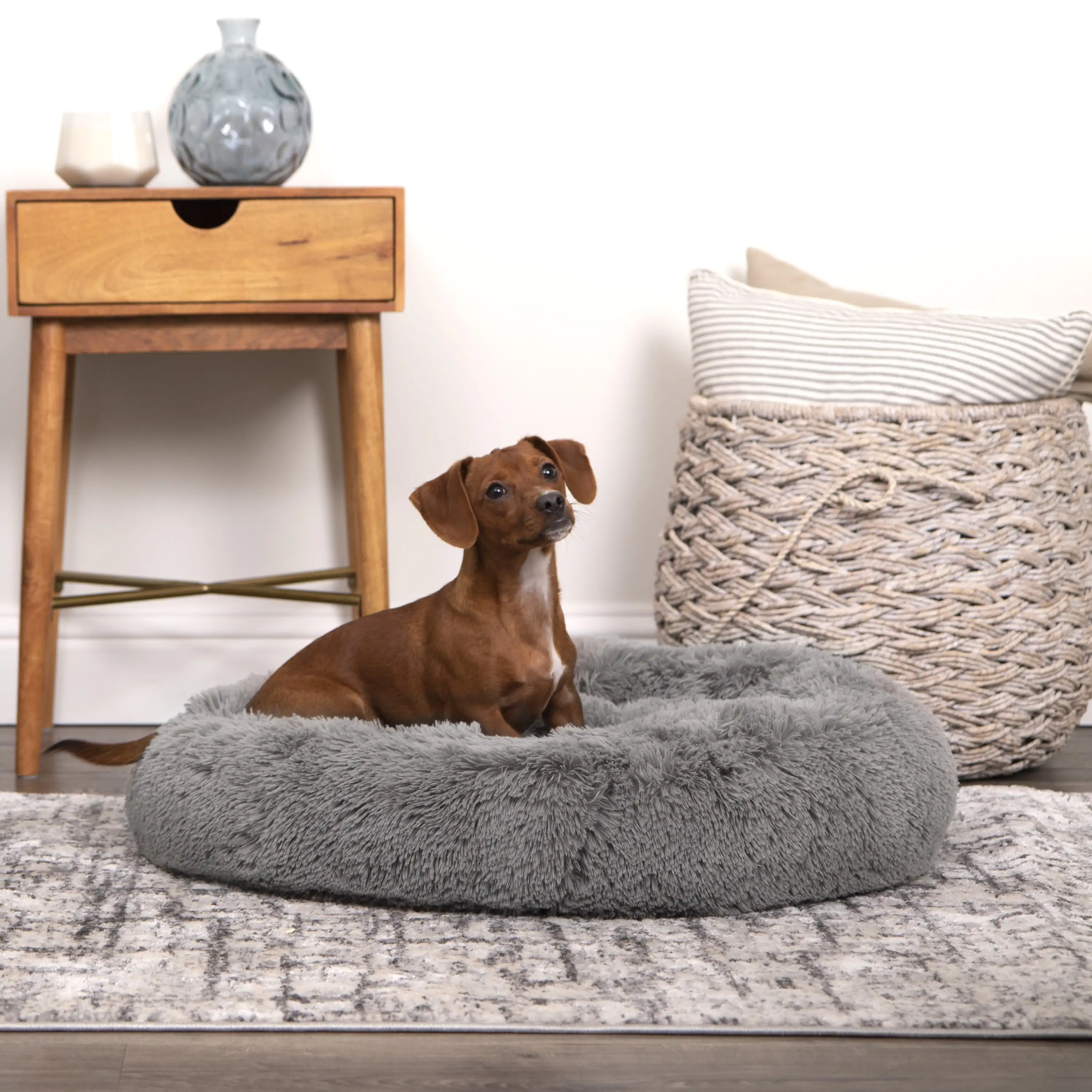 

Easy Lounger Mattress Edition Dog Bed, Small, 24X24, up to 35Lbs
