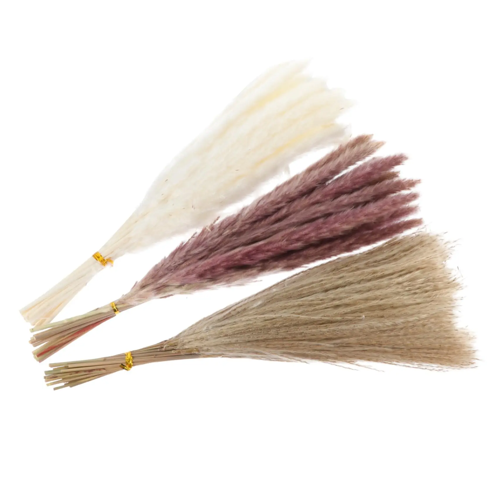 

60pcs Dried Reed Flowers Wedding Bouquet Decor Pampas Grass Stem Party Decoration Props Natural Dandelion Preserved Flowers