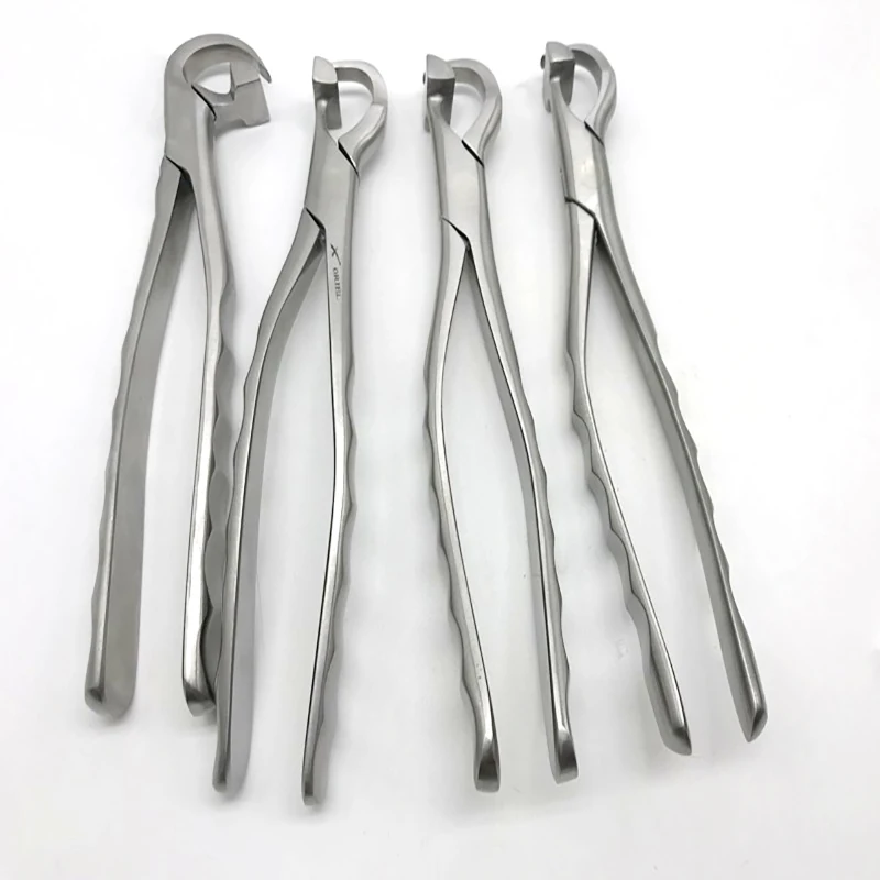 

Dental Materials Extractor Tooth Extractor Set Full Extractor Tooth Extractor 4 New Generation High Quality 304 Steel Steel Extr