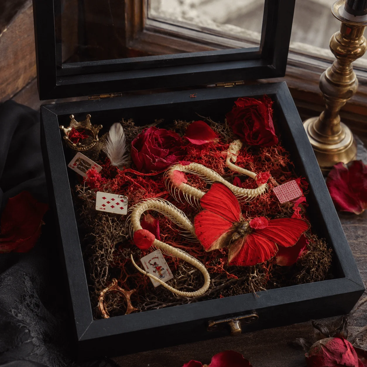 Custom Gothic Specimen Display Box with Real Butterfly, Cymothoe Sangaris, Snake Bone, Roses & Red Heart Decor