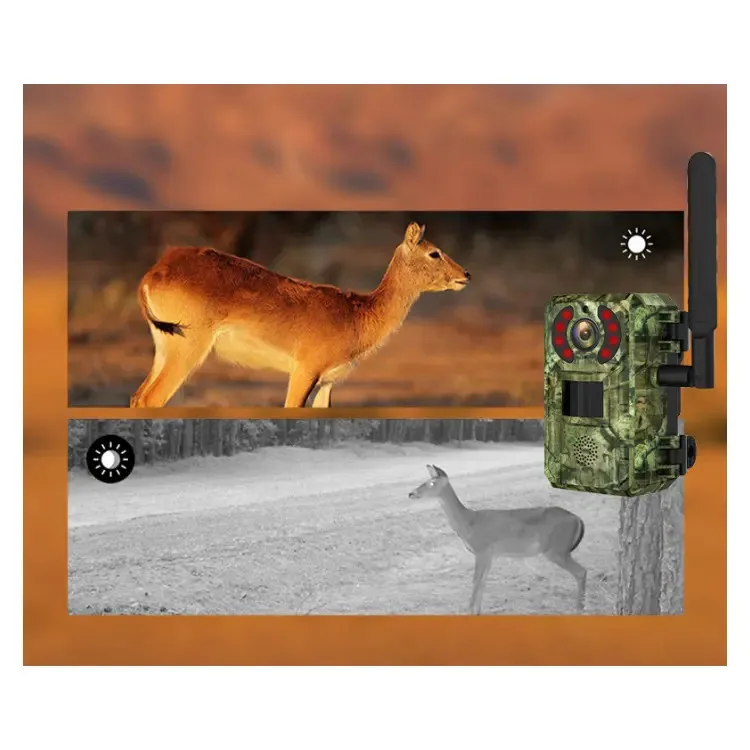 Wild Cellular 4G LTE Trail Wireless Hunting Trap Cam No Glow IR Led Wildlife Trap