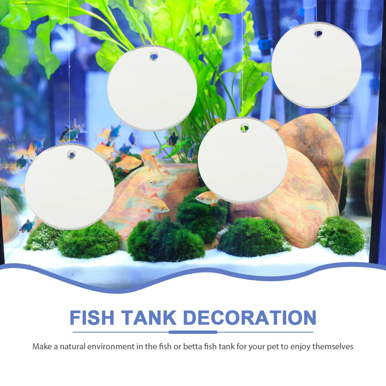 

1Set Decorative Betta Training Mirror Floating Fish Tank Accessory for Mental Stimulation and Tank Aesthetics Betta Fish Mirror