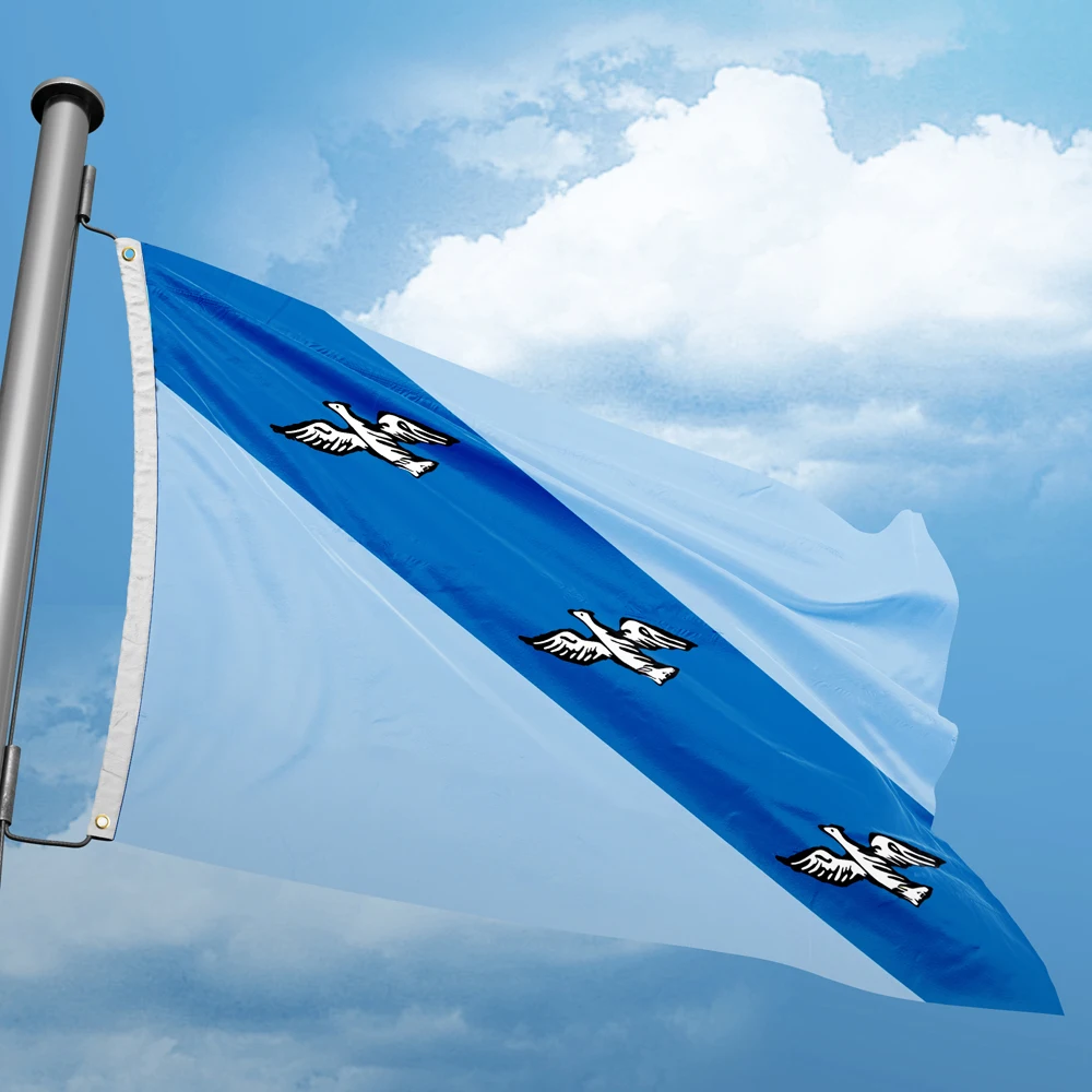 Flag Of Kursk 3*5FT 90*150CM Russia City Flags Custom Indoor Outdoor Decoration Banners  Polyester UV Resistance Double Stitched
